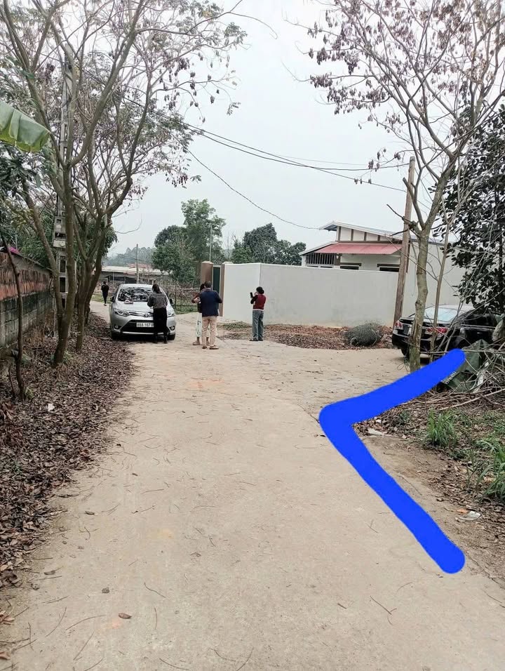 Đất nền Hướng Đạo, Tam Dương 134m² giá 1 tỷ - Tiềm năng sinh lời cao!