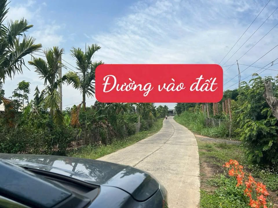 Đất thổ cư Ea Kly Krong Pak 700m² giá 149 triệu - Sổ đỏ chính chủ!