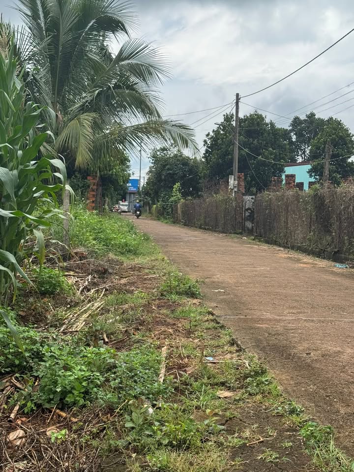 Đất nền Cư M'gar 280m² giá 2.8 tỷ - Đầu tư sinh lời ngay!