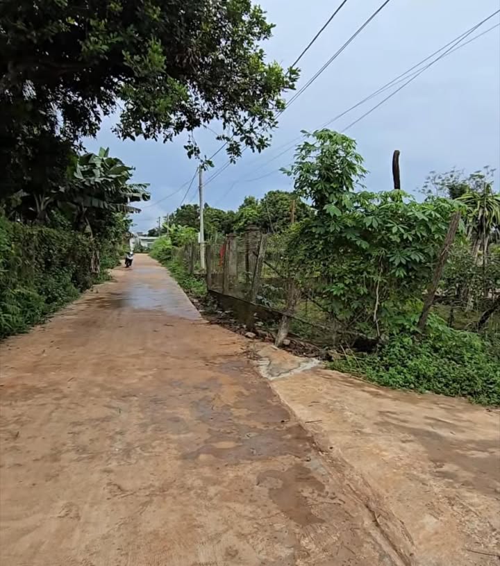 Đất thổ cư mặt tiền đường Trần Quang Khải, Chư Sê, Gia Lai - Diện tích 1880m², giá chỉ 115 triệu/m²!