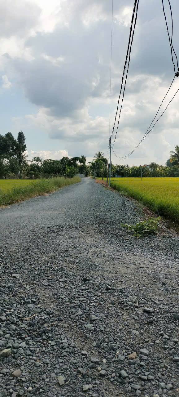 Đất mặt đường nhựa xã Bình An Thủ Thừa 6000m² giá 5.6 tỷ - Cơ hội đầu tư hấp dẫn!