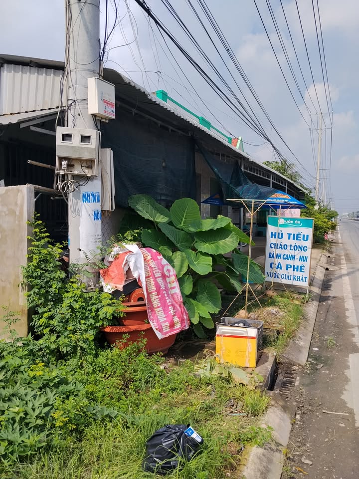 Đất nền 1450m² tại Tân Trạch, Cần Đước - Giá chỉ 15.95 tỷ, cơ hội đầu tư tuyệt vời!