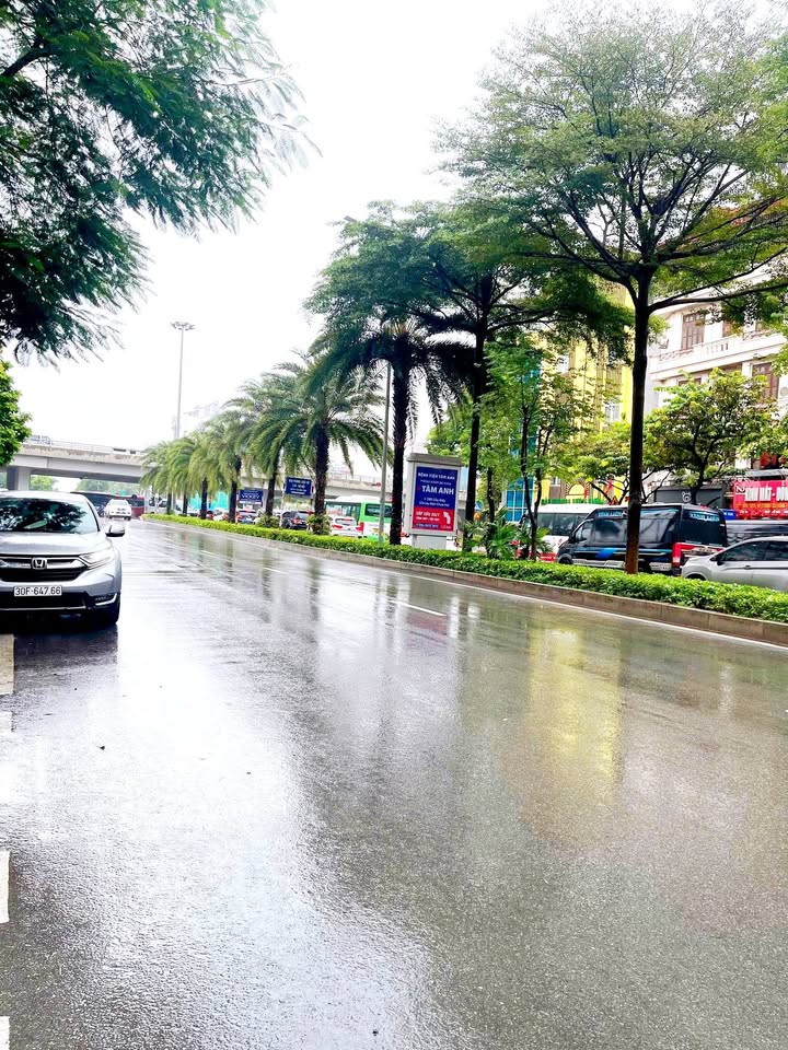 Đất đầu tư Đào Tấn, Ba Đình 43m² giá 8.1 tỷ - Ngõ thông thoáng, tiện ích đầy đủ!