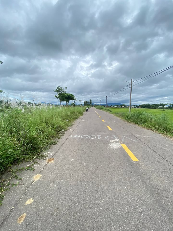 Đất ruộng mặt tiền đường nhựa Nhơn Hậu An Nhơn 600m² - Giá chỉ 1xx triệu