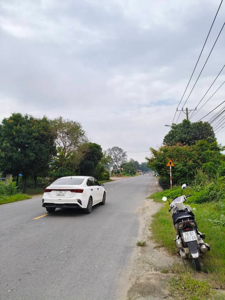 Đất mặt tiền đường Trần Văn Trà, Bình Minh, Tây Ninh 140m² - Giá chỉ 1.5 tỷ!