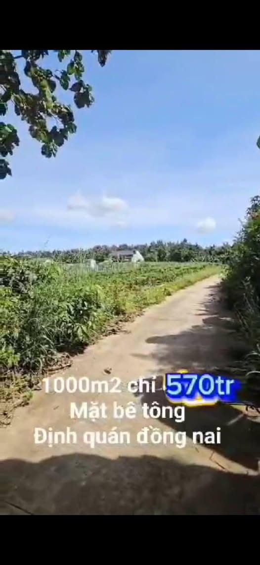 Đất nền 1000m² xã Ngọc Định, huyện Định Quán, giá 570 triệu - Cơ hội đầu tư tuyệt vời!