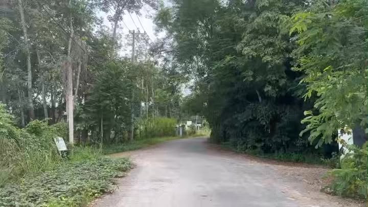 Đất An Nhơn Tây, Củ Chi 1200m² - Bán gấp, giá thỏa thuận!