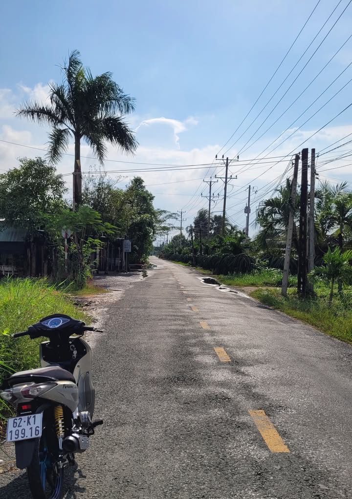 Đất thổ cư mặt tiền đường Tham Nhiên, Châu Thành, Long An - Diện tích 150m² giá chỉ 1.1 tỷ!