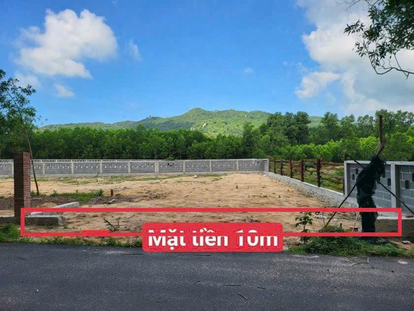 Đất nền 260m² tại xã Phước Hải - Mặt tiền nhựa, lưng tựa núi - Giá 2 tỷ!