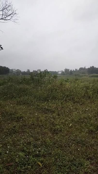 Đất thổ cư 3620m² tại Bắc Sơn, Sóc Sơn - Giá chỉ 2 triệu/m², nhanh tay sở hữu!