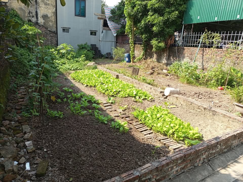 Đất nền Đa Tốn, Gia Lâm 65m² giá 4 tỷ - Cơ hội đầu tư tuyệt vời!