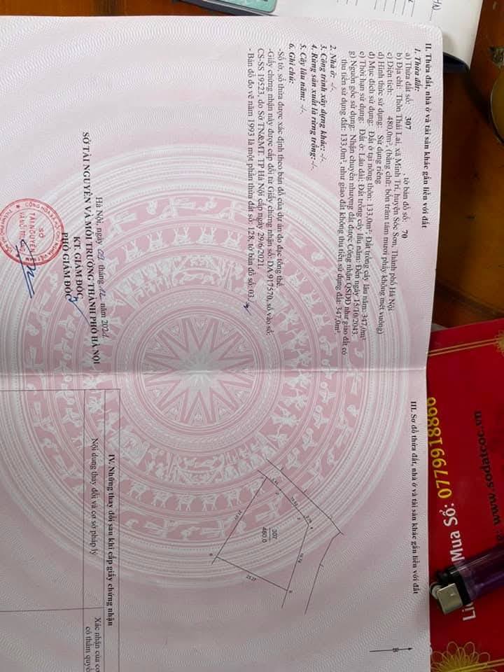 Đất nền đẹp thôn Thái Lai, Minh Trí, 480m² - Đầu tư sinh lời ngay!