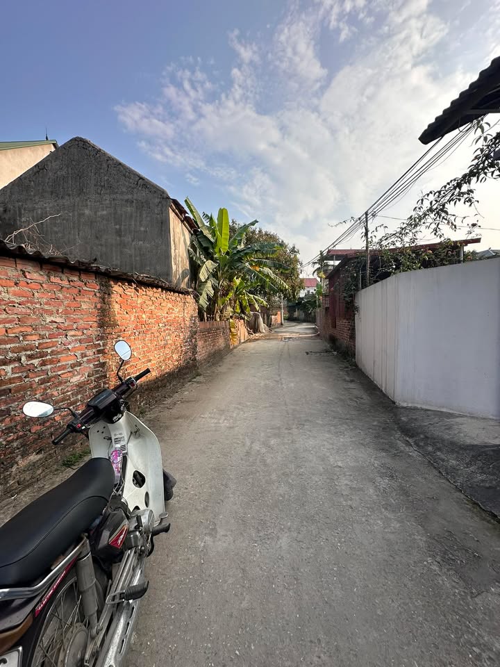 Đất nền Tân Minh Sóc Sơn 73m² giá 1.85 tỷ - Chính chủ, đường thông thoáng!