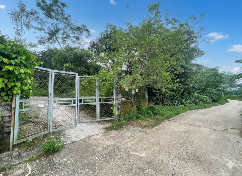 Đất nền Sơn Đà Ba Vì 946m² giá 2.2 tỷ - Vị trí đắc địa gần Đầm Long!