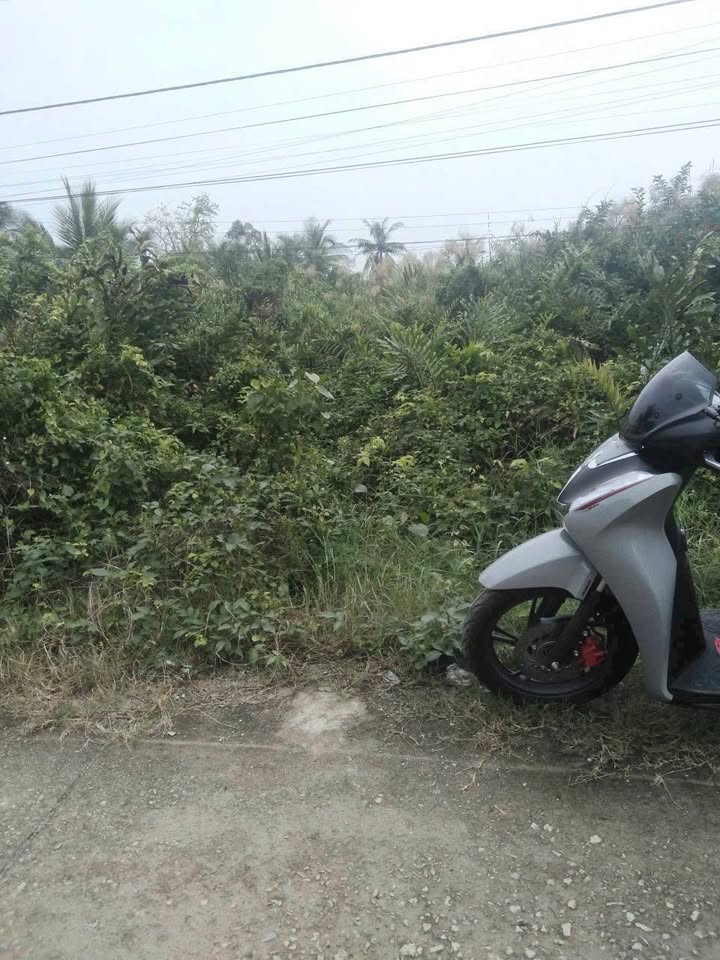 Đất nền mặt tiền bê tông xã Hiệp Thành Bạc Liêu 926m² giá 50.92 tỷ - Đầu tư sinh lời ngay!