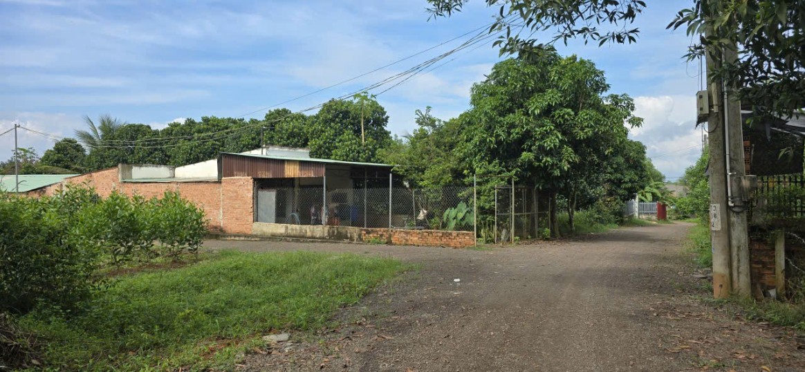 Đất Vĩnh An 2200m² giá 3.3 tỷ - Sổ đỏ chính chủ, đầu tư sinh lời!