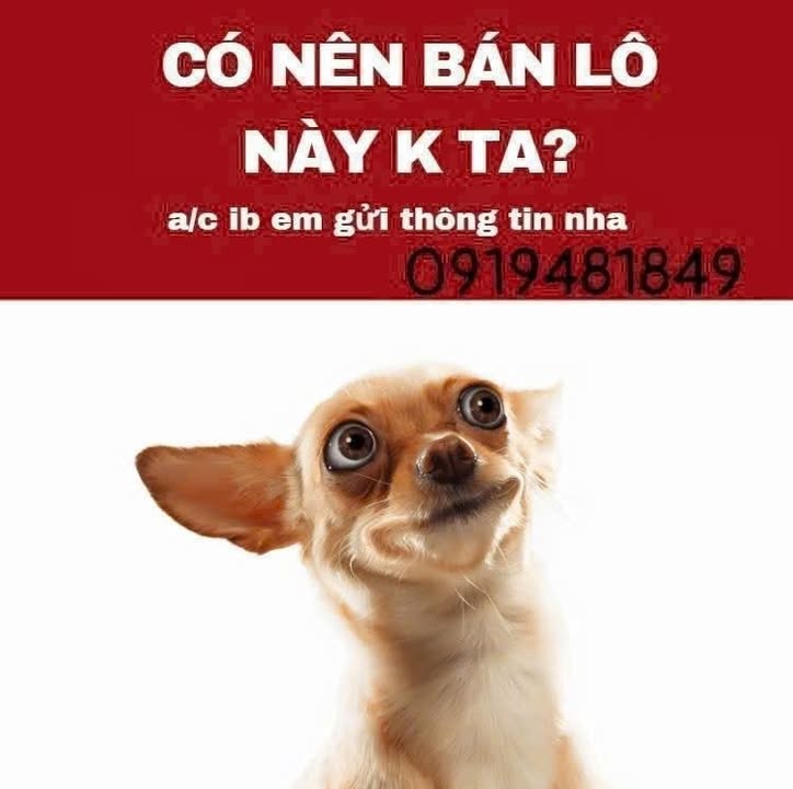 Đất nền Hòa Tân, Cầu Kè, Trà Vinh 440m² giá 299 triệu - Mặt tiền rõ ràng, cao ráo!