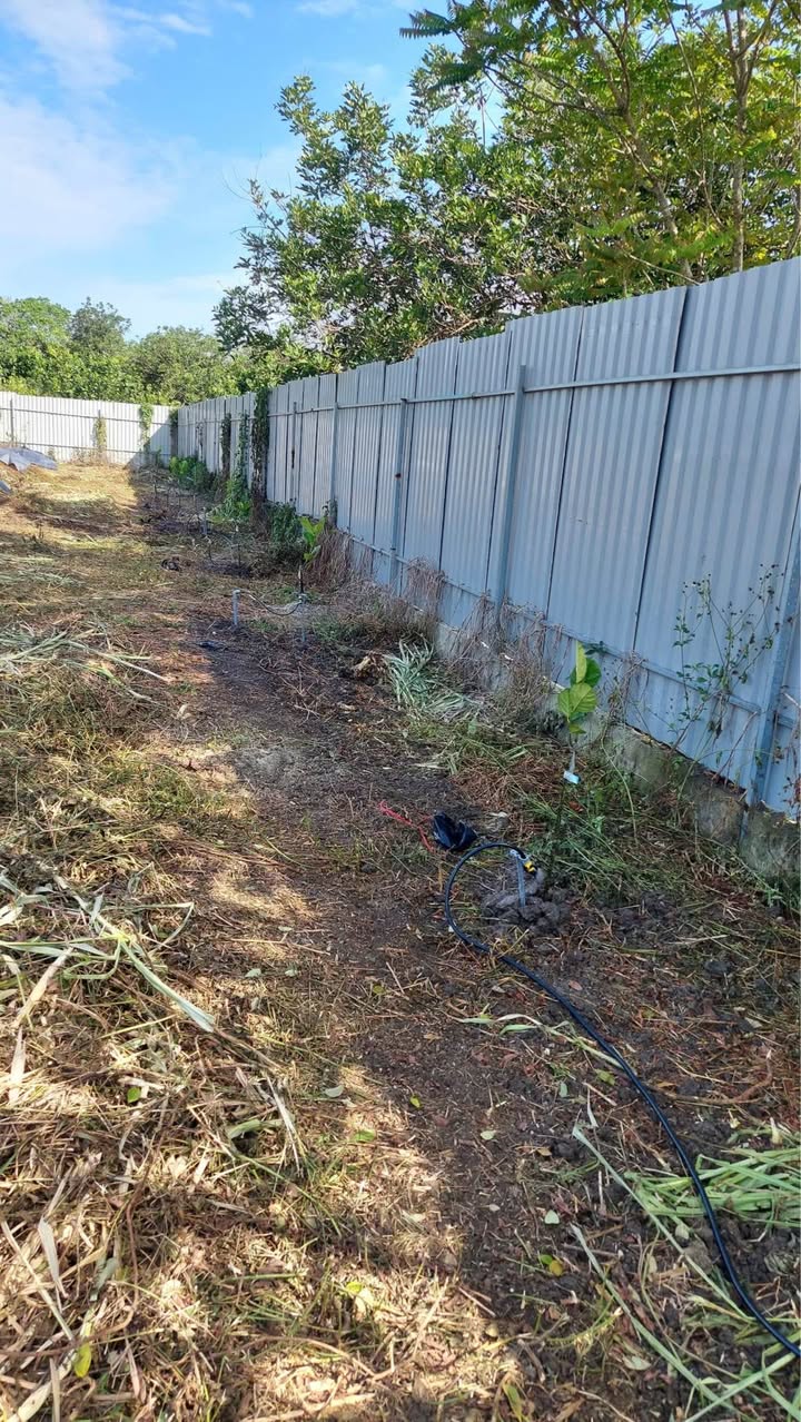 Đất thổ cư Xuân Định 155m² giá 550 triệu - Cơ hội đầu tư tuyệt vời!