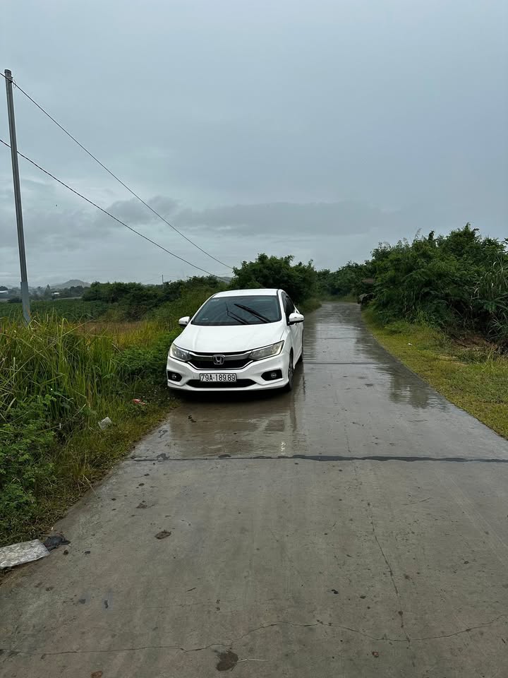 Đất nền Ninh Hòa 1ha giá 1 tỷ - Đầu tư sinh lời cao!