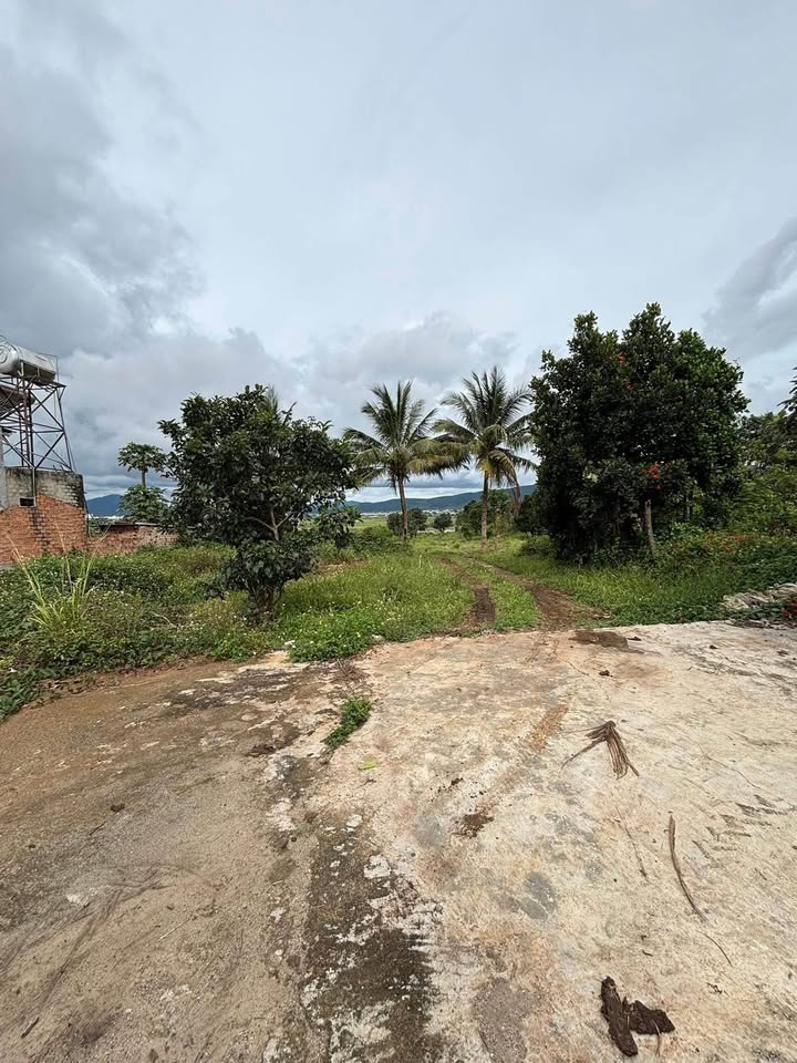 Đất 2900m² mặt tiền 16m tại đường Phú Trung, Đức Trọng - Giá chỉ 8.9 tỷ!