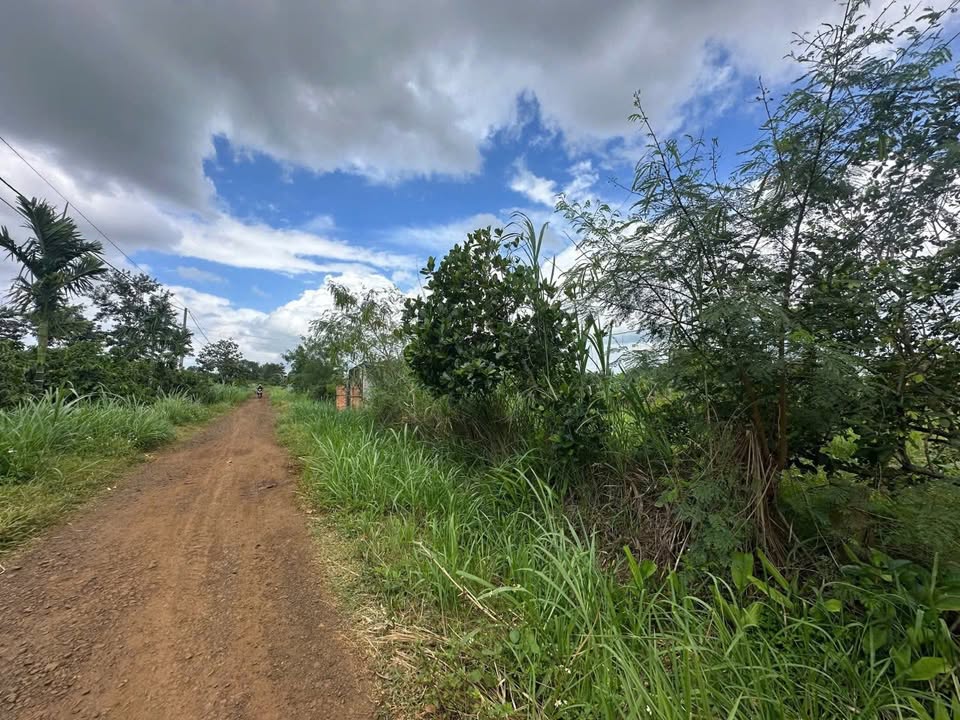 Lô đất Phú Xuân 800m² giá 500 triệu - Chính chủ bán gấp!