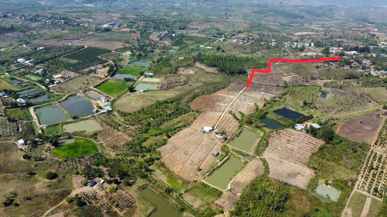 Farm 6ha tại xã Ea Sa, Ea Kar Đắk Lắk giá 2.88 tỷ - Đầu tư sinh lời!
