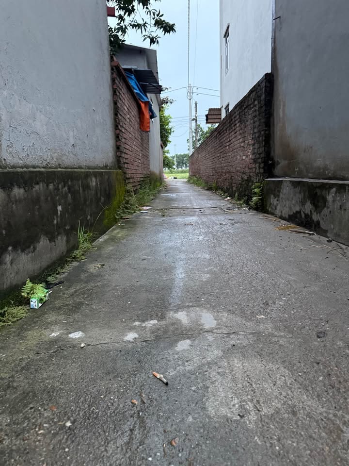 Đất nền Ninh Xá, Thuận Thành, Bắc Ninh 79m² giá chỉ 1 tỷ - Đầu tư sinh lời ngay!