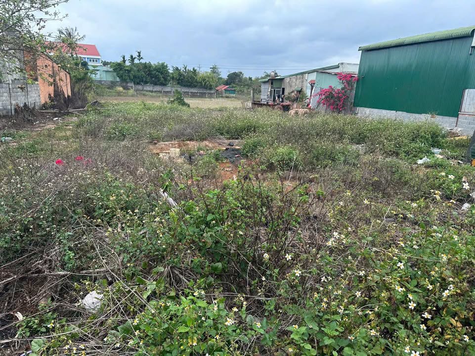 Lô đất thổ cư 840m² tại phường Thống Nhất - Giá chỉ 2.2 tỷ, sổ hồng chính chủ!