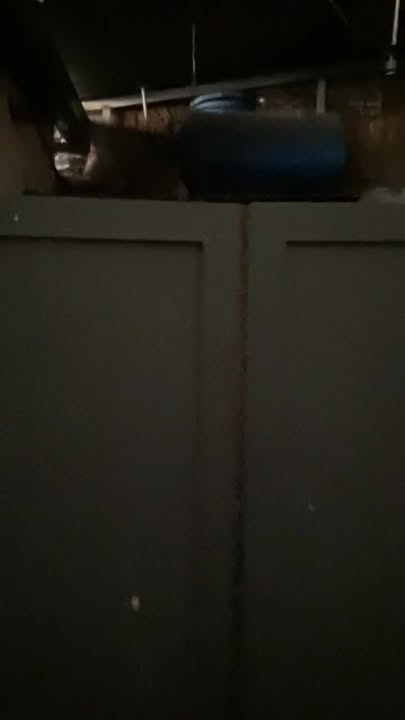 Nhà cho thuê quận Tân Phú, 160m² - Phù hợp mở quán hoặc xưởng nhỏ!