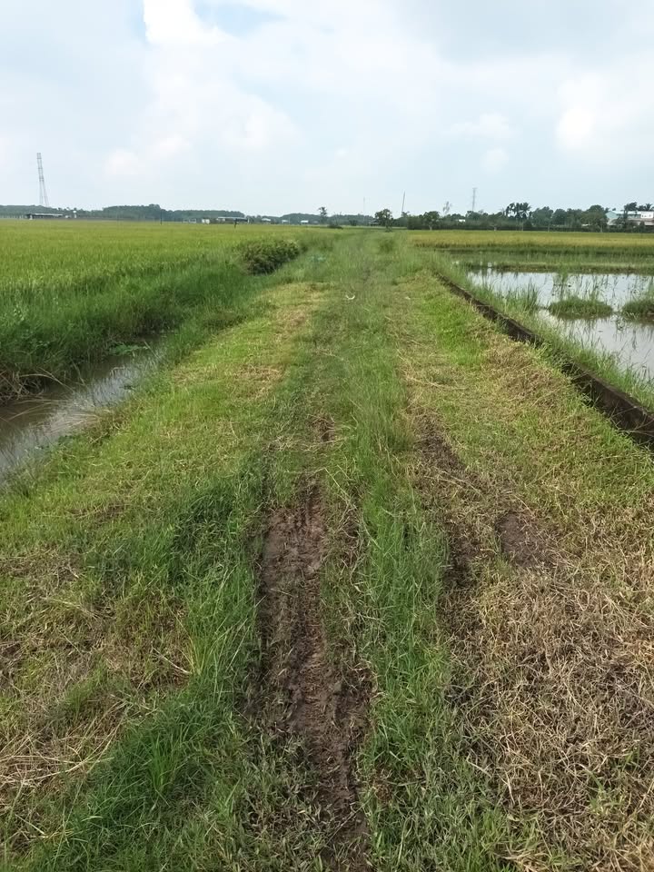 Đất vườn Tây Ninh 1.2ha giá 4 tỷ - Mặt tiền đường rộng 70m