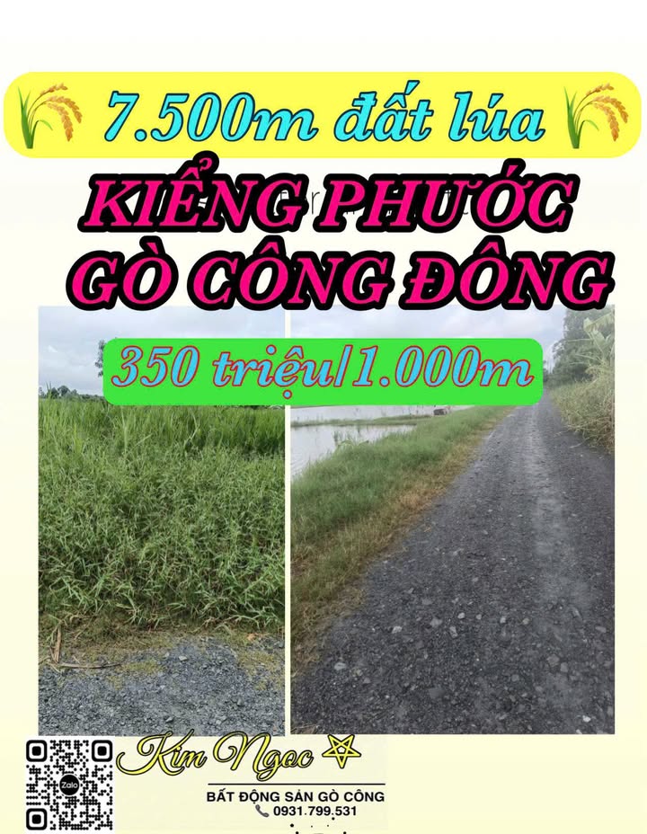 Đất lúa 7500m² tại Kiểng Phước, Gò Công Đông - Giá chỉ 2.625 tỷ, vị trí đắc địa!