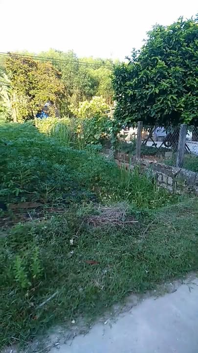 Đất nền mặt tiền DH Quế Thuận 160m² giá chỉ 3xx triệu - Cơ hội đầu tư tuyệt vời!