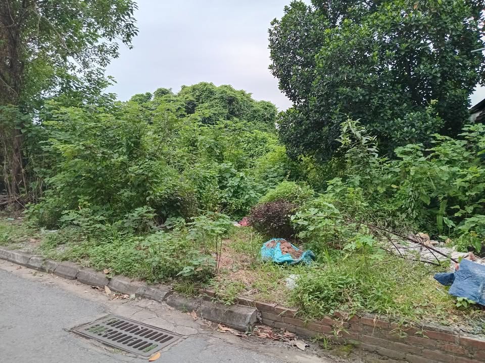 Kho xưởng cho thuê tại ngõ 19 đường Giáp Hải, Gia Lâm, 360m² - Thoải mái hoạt động ngay!