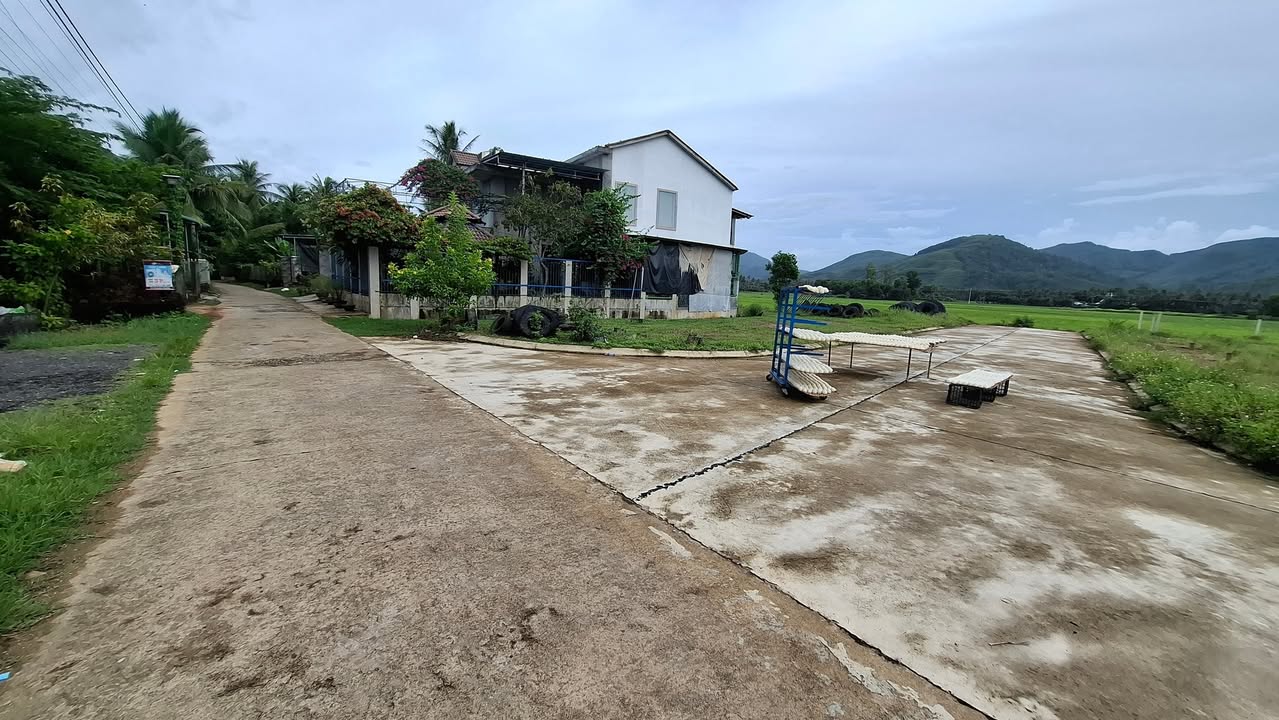 Đất thổ cư tại Lại Khánh, Bồng Sơn, 141m² giá chỉ 400 triệu - Cơ hội đầu tư tốt!