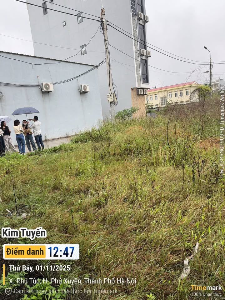 Đất nền thôn Lưu Đông, xã Phượng Dực 94m² - Giá tốt chính chủ, sẵn sàng giao dịch!