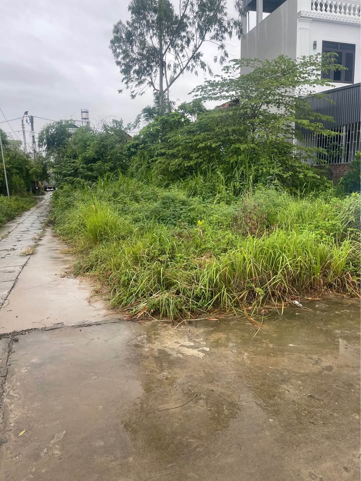 Đất thổ cư Quang Minh, Mê Linh 60m² giá 3.63 tỷ - Đầu tư sinh lời cao!