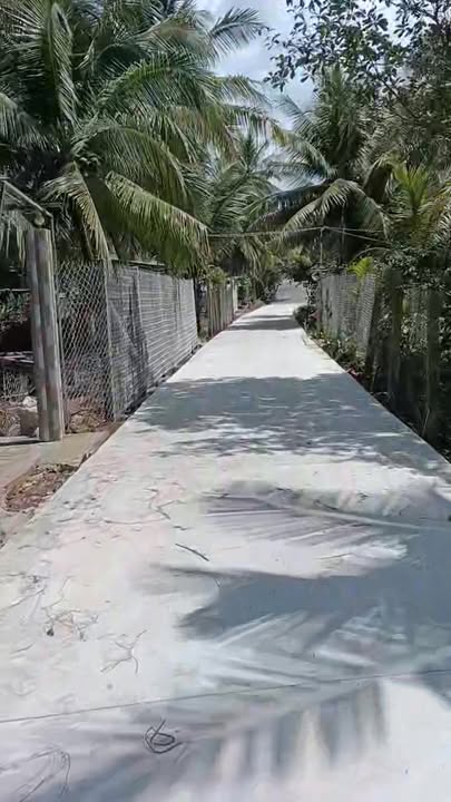 Đất nền 100m² Tân Hội Cai Lậy giá 8 tỷ - Đầu tư sinh lời ngay!