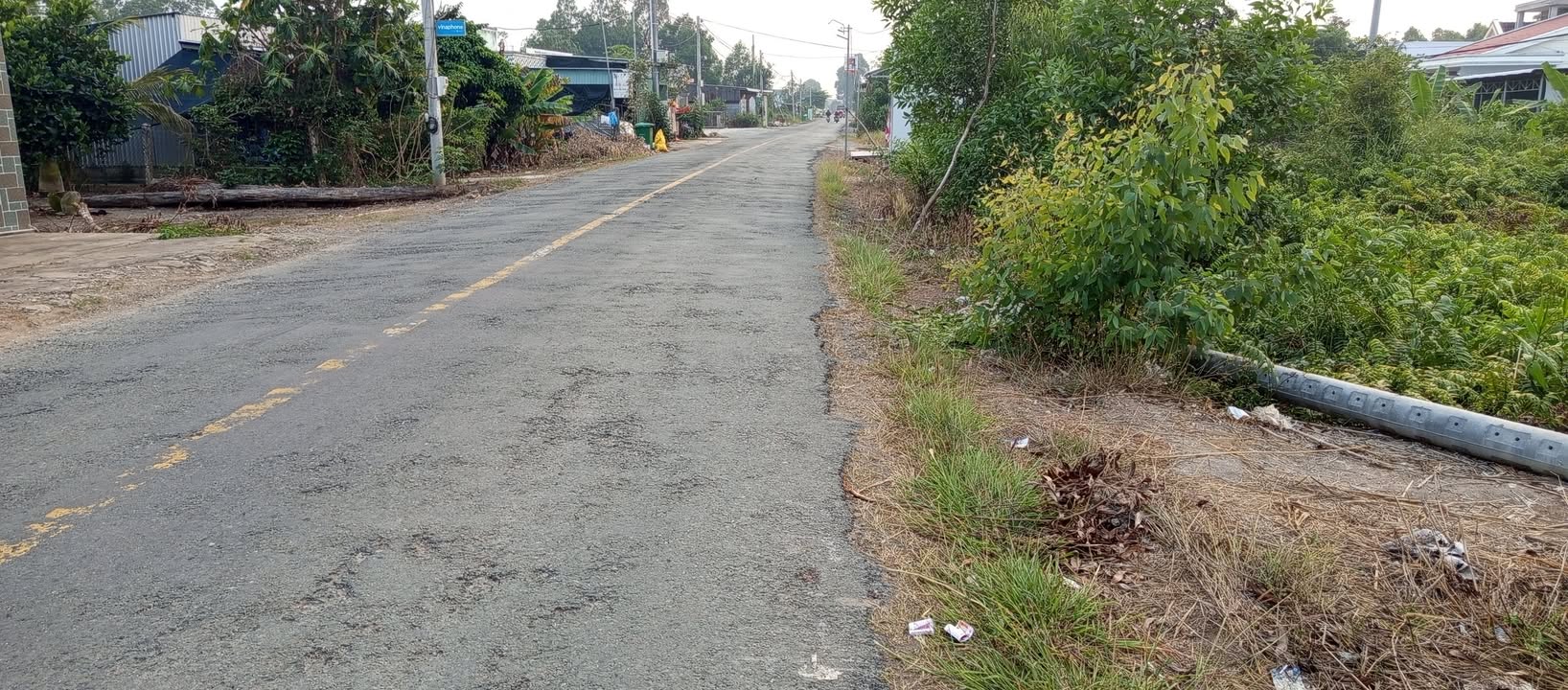 Đất mặt tiền tỉnh lộ 865 tại xã Mỹ Phước Tây, Tân Phước 1860m² giá 1.4 tỷ - Đầu tư sinh lời ngay!