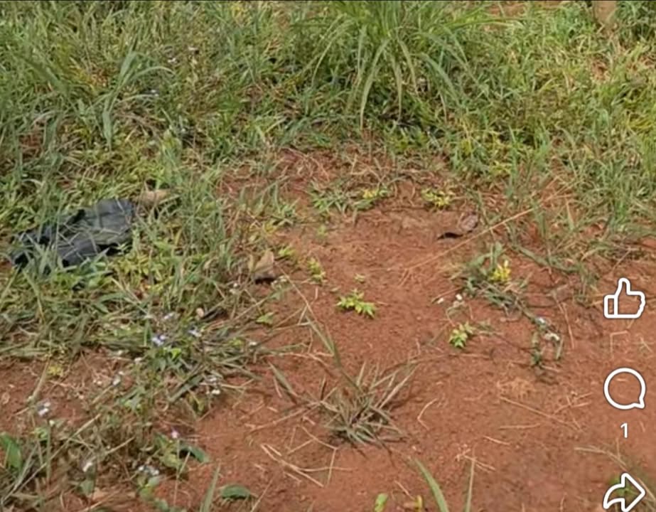 Đất nền Bù Gia Mập 10.800m² giá 550 triệu - Cơ hội đầu tư lý tưởng!