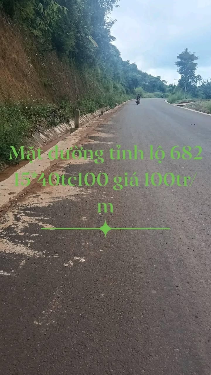 Đất nền Đăk Song 600m² giá 6 tỷ - Đầu tư sinh lời ngay!