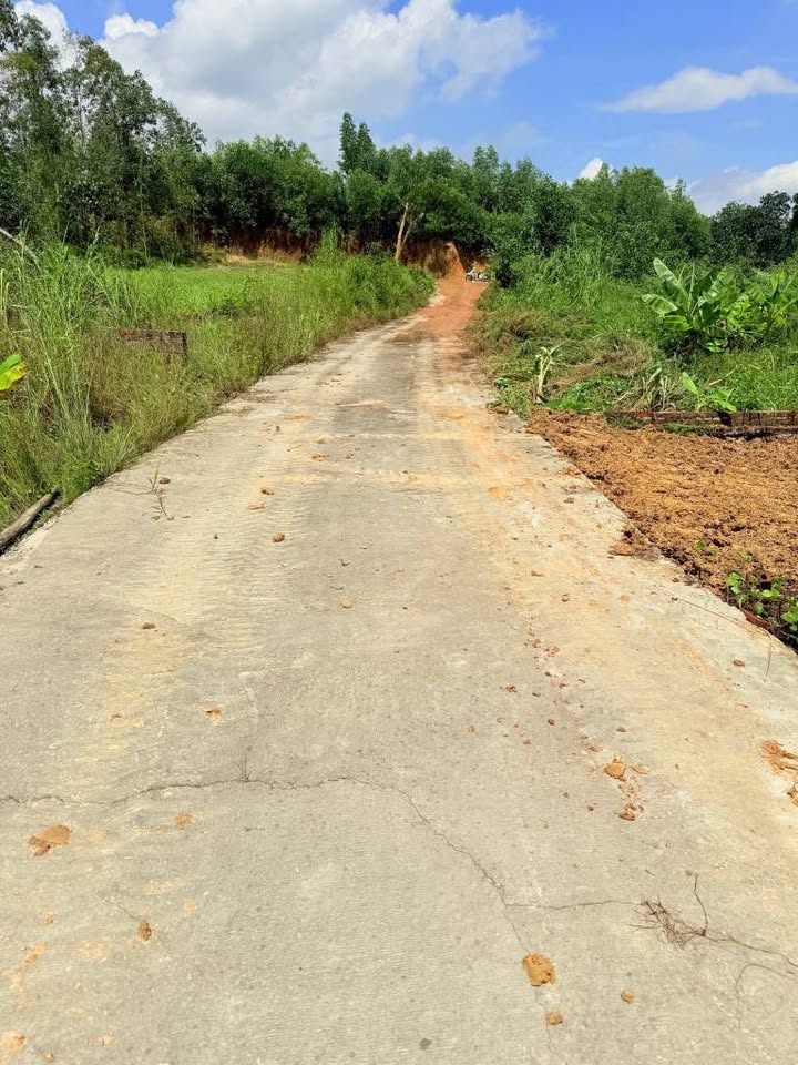 Đất thổ cư Ba Vì 203m² giá chỉ 500 triệu - Cơ hội đầu tư hiếm có!