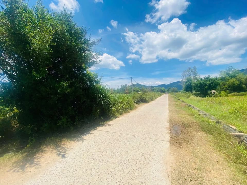 Đất vườn 420m² tại Cát Trinh, Phù Cát chỉ 140 triệu - Pháp lý đầy đủ!