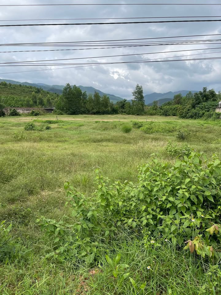 Đất nền Phước An, Tuy Phước 2500m² giá 1.9 tỷ - Pháp lý rõ ràng, cơ hội đầu tư hấp dẫn!