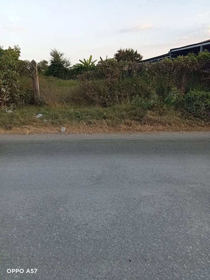 Đất mặt tiền lớn bán gấp tại Đại Hòa Lộc, Bến Tre - Diện tích 450m² chỉ 810 triệu!