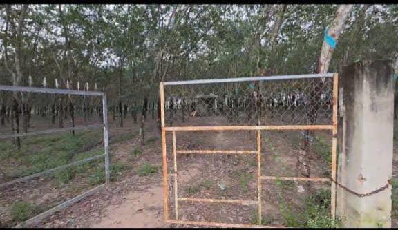 Đất nền 4000m² tại Long Hoa, Hòa Thành chỉ 365 triệu - Đầu tư sinh lời ngay!