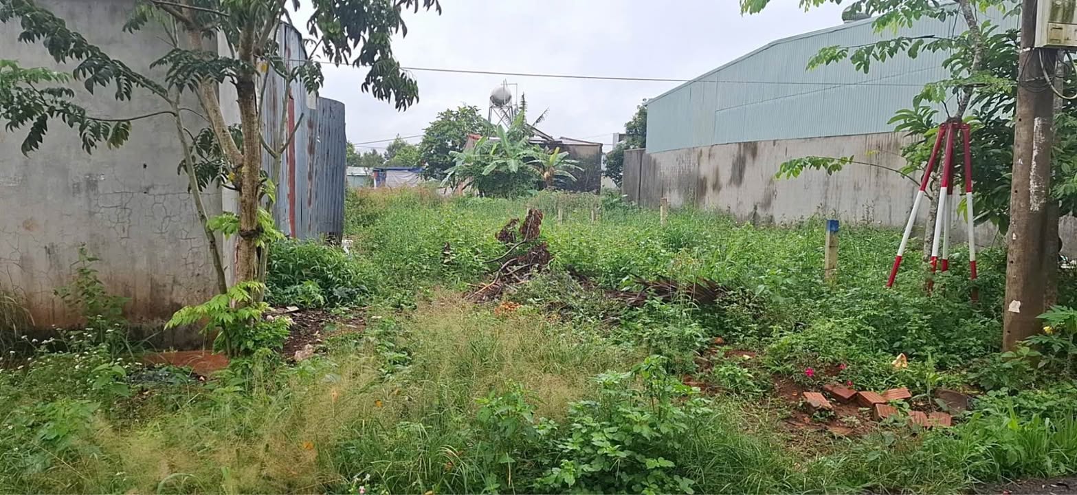 Nhà Mặt Tiền Nguyễn Thượng Hiền, Pleiku 125m² giá 1.25 tỷ - Chính chủ thương lượng!