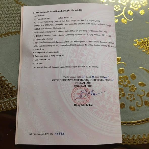 Đất chính chủ thôn Hưng Quốc, xã Đội Bình, Tuyên Quang 1.743,9m² - Pháp lý rõ ràng, giá tốt!