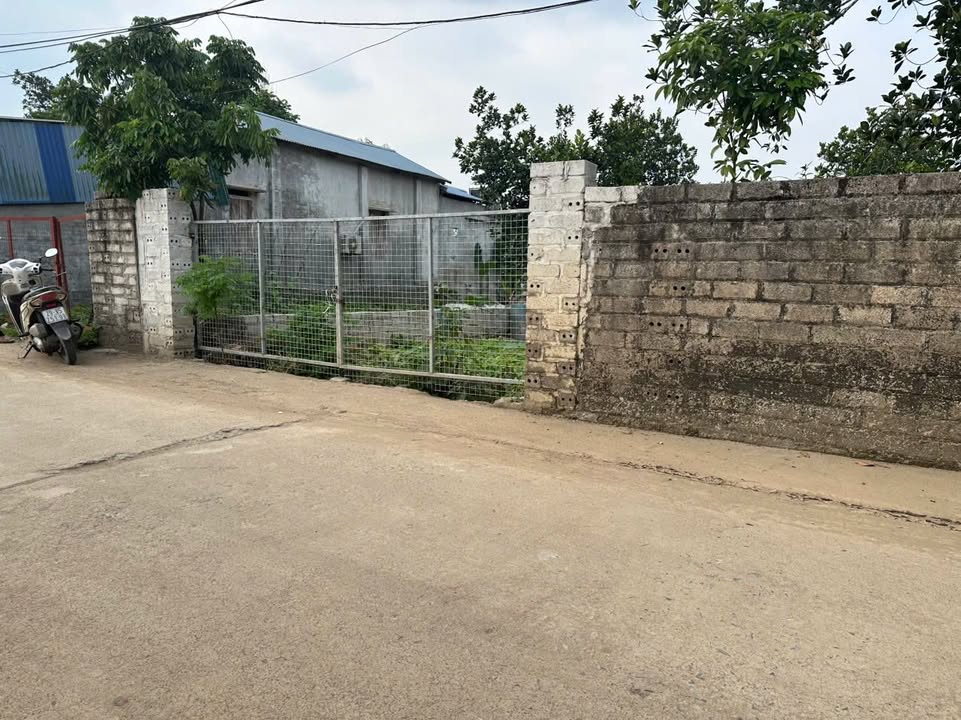 Đất thổ cư 154m² mặt đường Hoàng Xá, Thạch Thất - Giá tốt chỉ từ 2x triệu/m²!