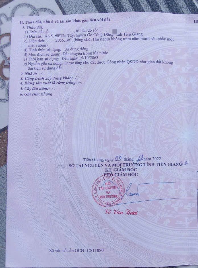 Đất nền Tân Tây, Gò Công Tây 2056m² giá chỉ 540 triệu - Đầu tư sinh lời ổn định!