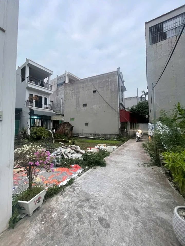 Đất Phúc Lợi Long Biên 36.5m² giá 4.8 tỷ - Vị trí cực đẹp, đầu tư sinh lời!
